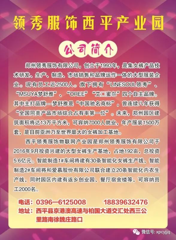 西平最新招聘信息,时代的脉搏与就业的航标