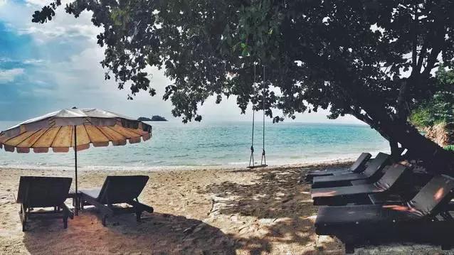 麦当劳最新广告,探索自然美景的旅行,启程寻找内心的宁静