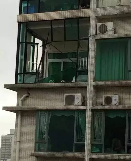 最新台风天鸽情况与小巷中的独特风味——探索一家隐藏版特色小店