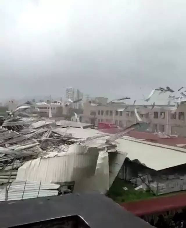 最新台风天鸽情况与小巷中的独特风味——探索一家隐藏版特色小店