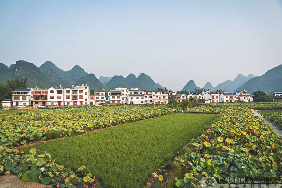 广西鹿寨最新新闻