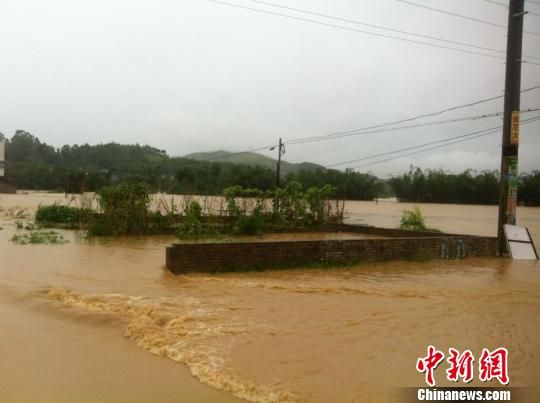 广西鹿寨最新新闻