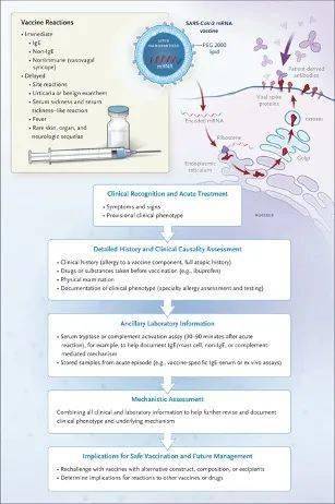 2024澳新免费资料汇编:安全策略深度解析——SKA917.72版直观解读