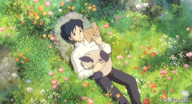 宫崎骏的最新作品,如何跟随大师的脚步走进动漫世界——详细步骤指南