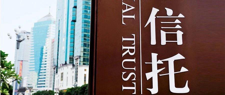 最新社保V型图,小巷中的隐藏宝藏,探索一家有特色的社保小店