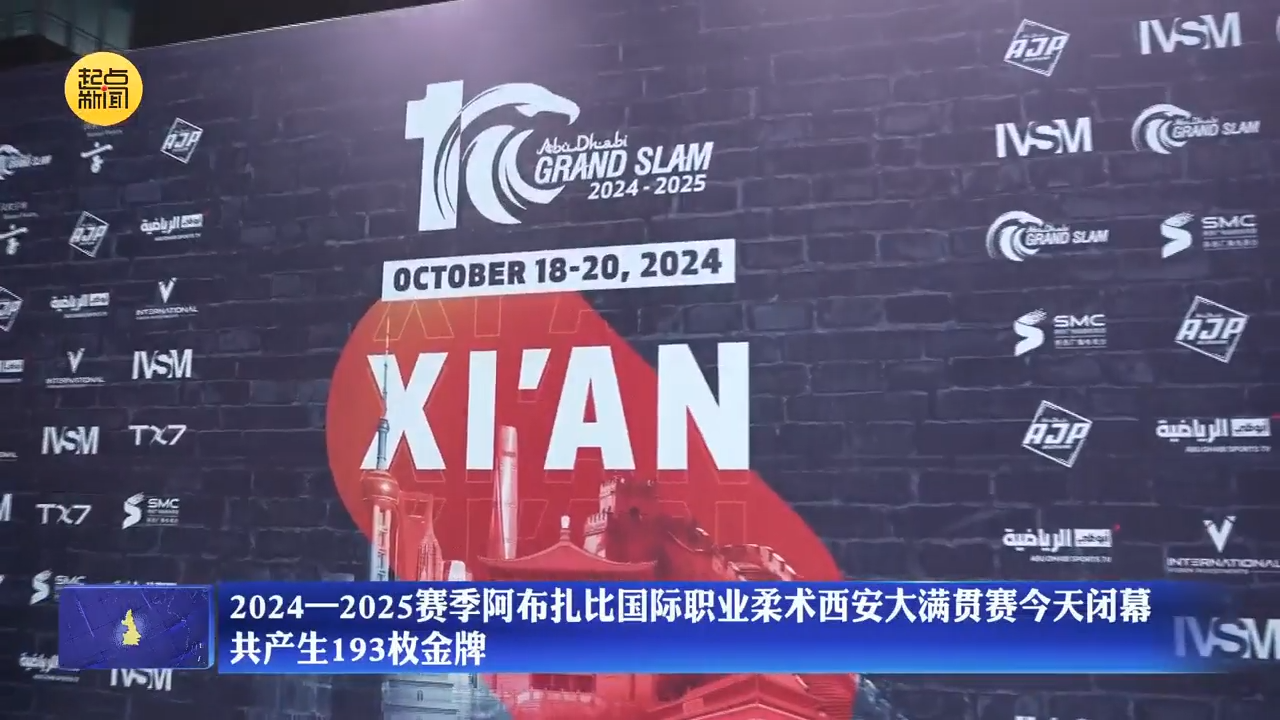 “2024新奥门资料大全视频解析,MXL193.35最新研究成果解读”