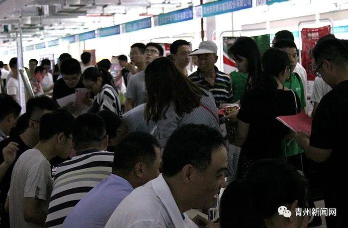 晋州市最新招工,小城的求职奇遇与深厚友情