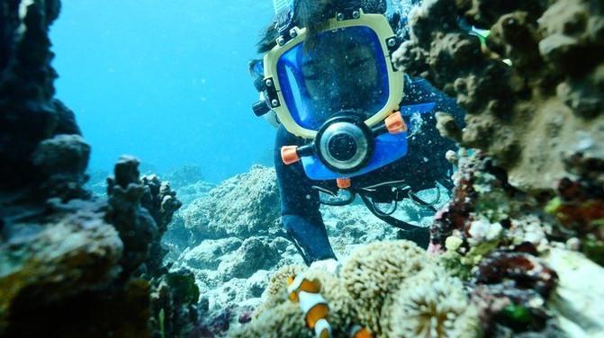 音乐速度调节器最新进展,掌控音乐的节奏与未来