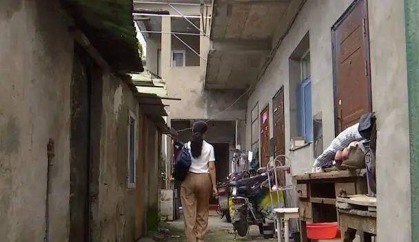 苏州最新新闻事件今天,小巷深处的独特小店探秘