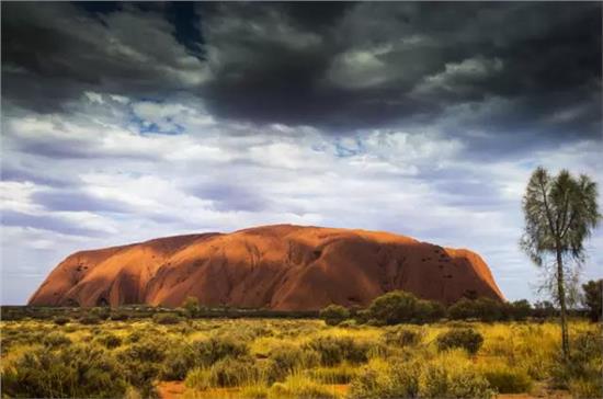 貉皮最新价格行情,一场自然美景的探索之旅