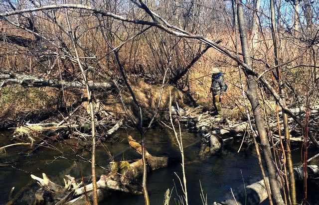 钓人的鱼最新作品——智能垂钓器,高科技的魅力,生活的变革
