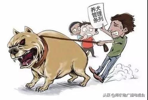 一品嘉园房价最新价格