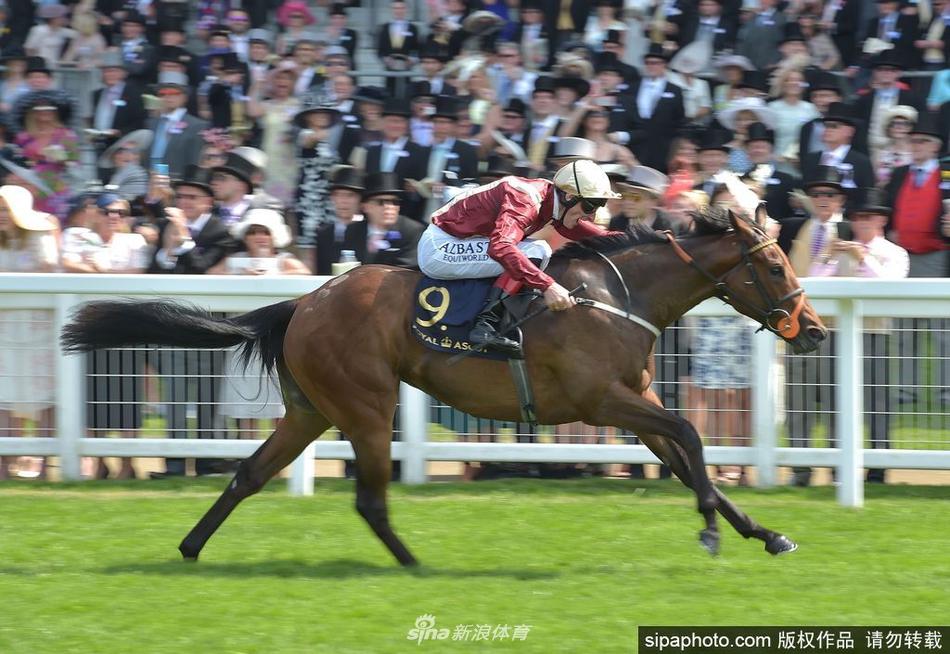 2024新澳门天天六开好彩大全,动态词语解析_道则神祗QPT751.17