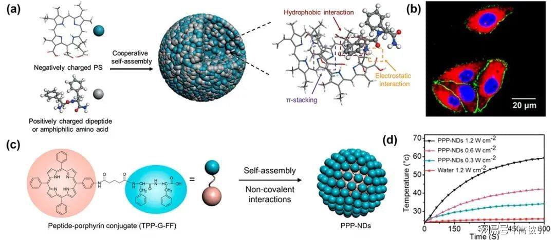 澳门管家婆新篇:环境科学与工程领域,探索通天境BDL167.89