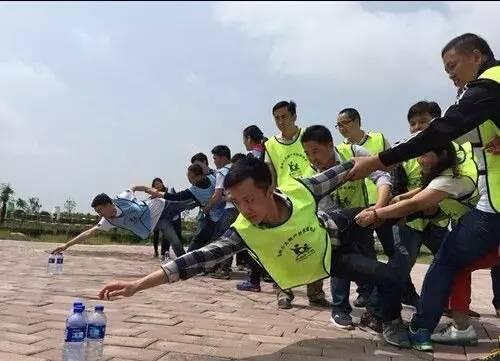 康佳集团最新,家的温馨与友情的日常故事