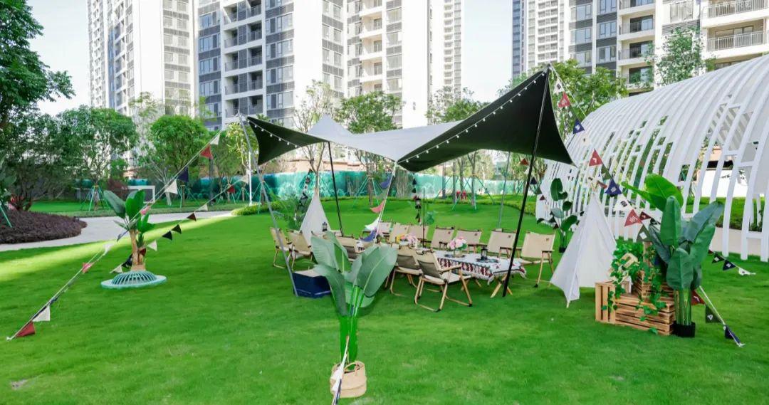 方便最新赛事,一场足球友谊赛中的欢笑与情感纽带