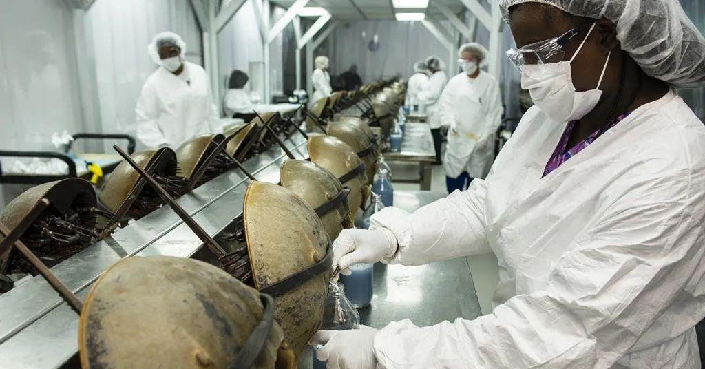 最新欧洲药典,观点阐述