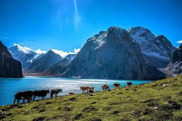 最新海图,探索自然美景的轻松之旅,寻找内心的宁静与平和