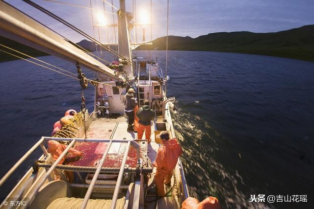 最新螺蛳拖网技术,引领水产养殖新时代