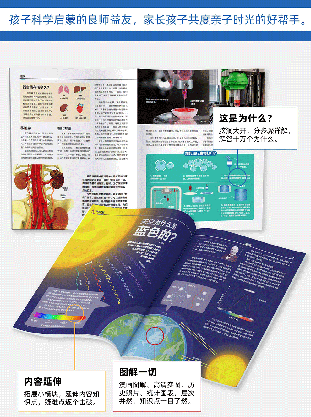 最新流行产品探索与获取指南