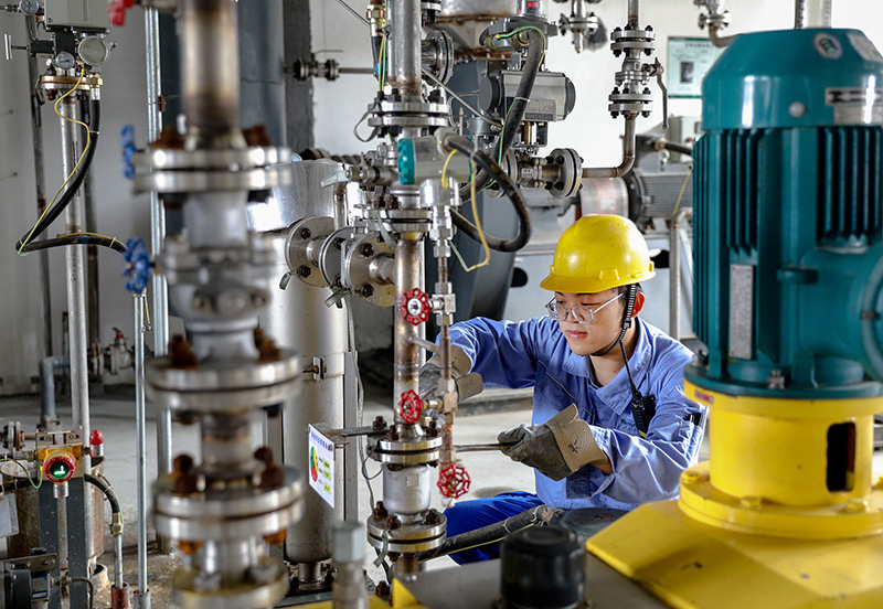 最新削皮机,科技助力,轻松去皮