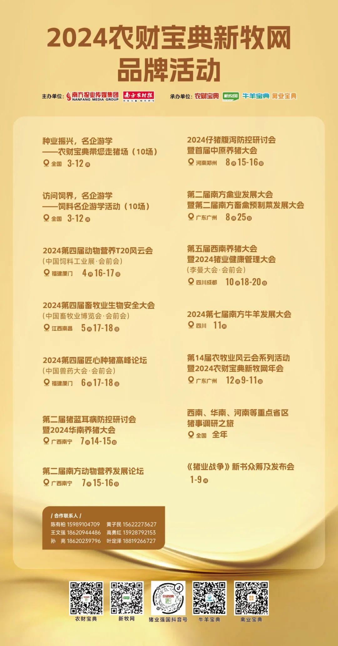 新奥彩2024全资料一览,深度解析详解_炼肉境解析篇