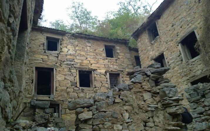 沁阳最新新闻,拥抱自然,寻找内心的宁静之旅