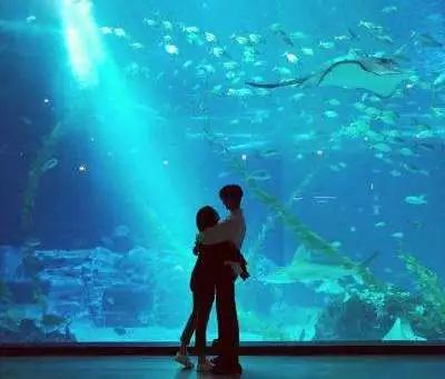 千变头像最新,探索个性化头像的世界