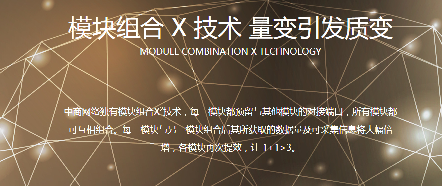 leemz2002最新,追溯起源、重大事件与领域地位