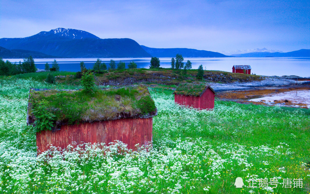 科龙最新款,带你踏上自然美景的探索之旅