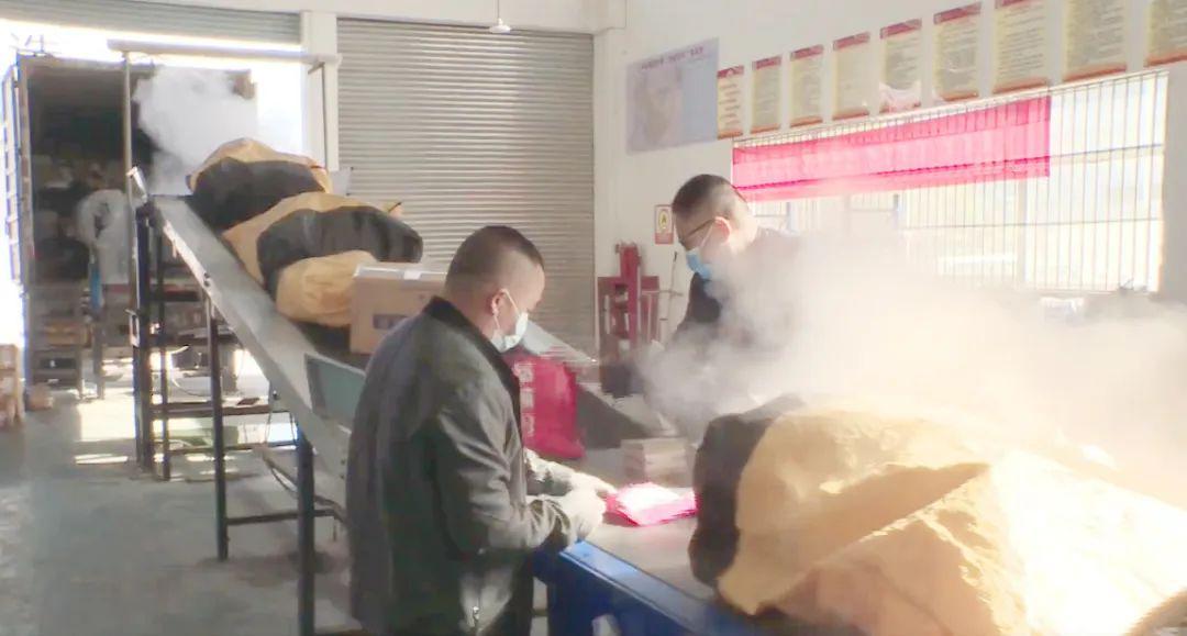 2024年11月新冠高峰期,大决策财经资料员2_77.94.71东平县