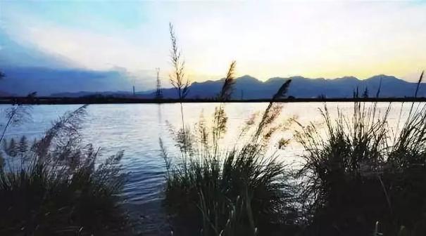 叶启田最新,探索自然美景的旅行,寻找内心的平和之地