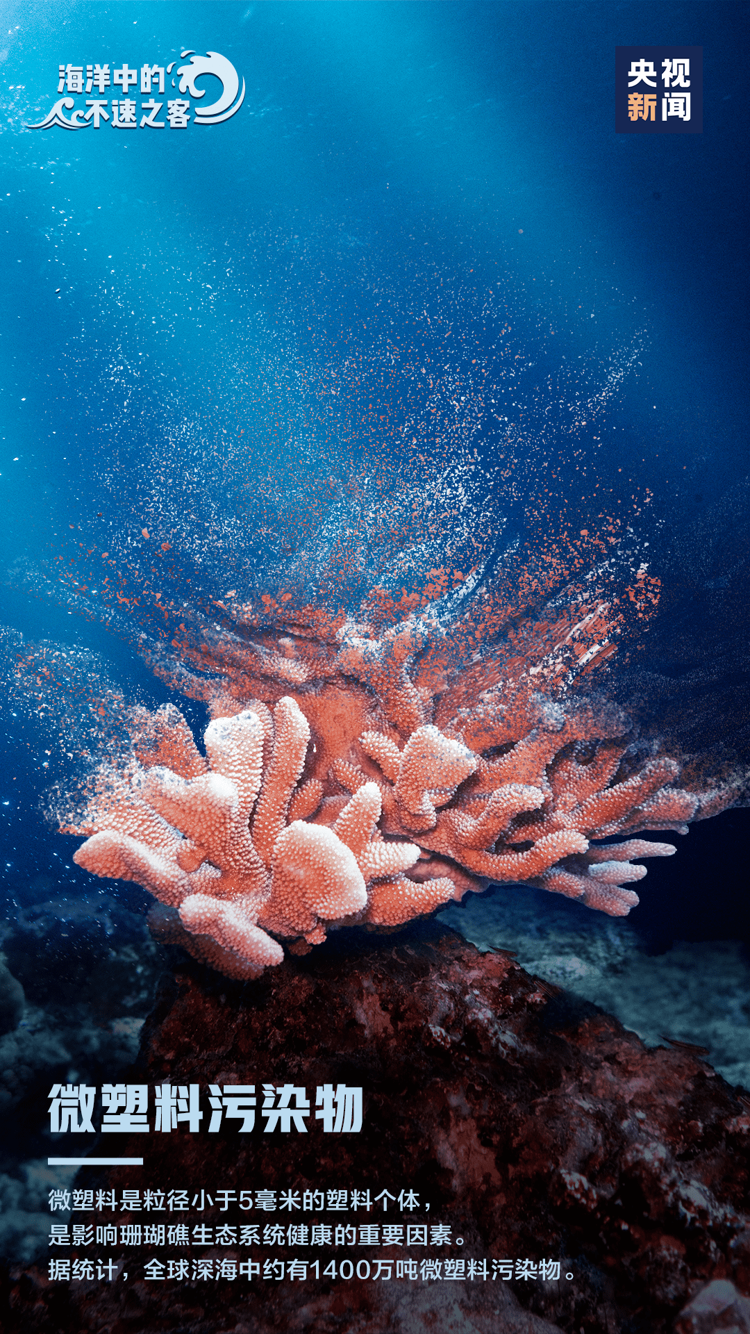 2024澳门精准正版免费大全,不速之客词语解析_18.12.67尖锐湿疣