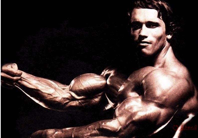 阿诺施瓦辛格最新电影,科技巨献,重塑未来生活