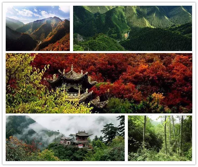 定远最新楼盘,探索自然美景的轻松之旅