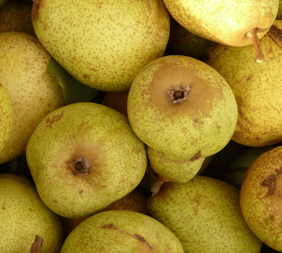 最新款头灯,创新与实用的交汇点