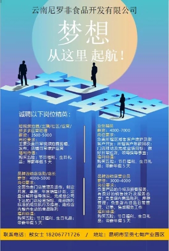 寻甸最新招聘,引领未来,科技改变生活