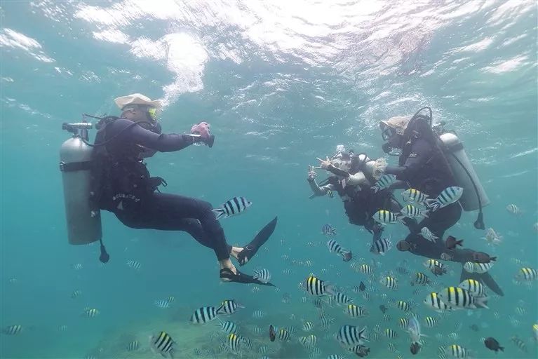 最新蛙泳教学视频,探索自然美景的旅行,寻找内心的平静与宁静之乐