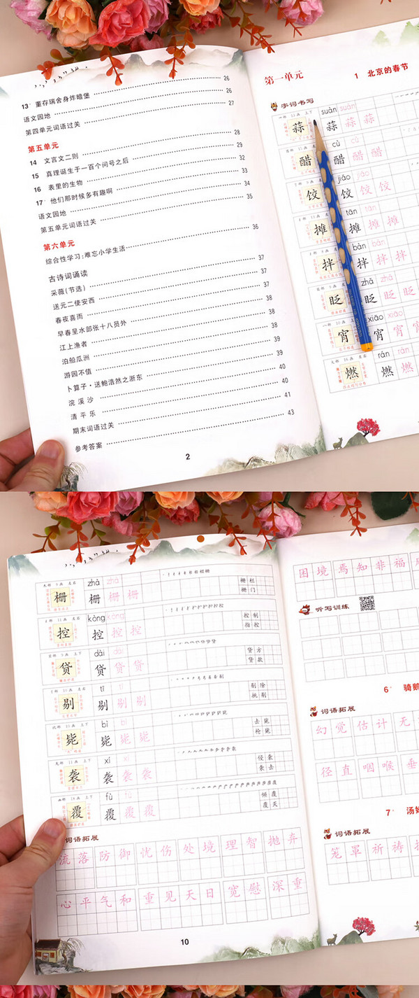 2024澳门天天开好彩大全下载,词语解析字帖_1.75.10全红婵