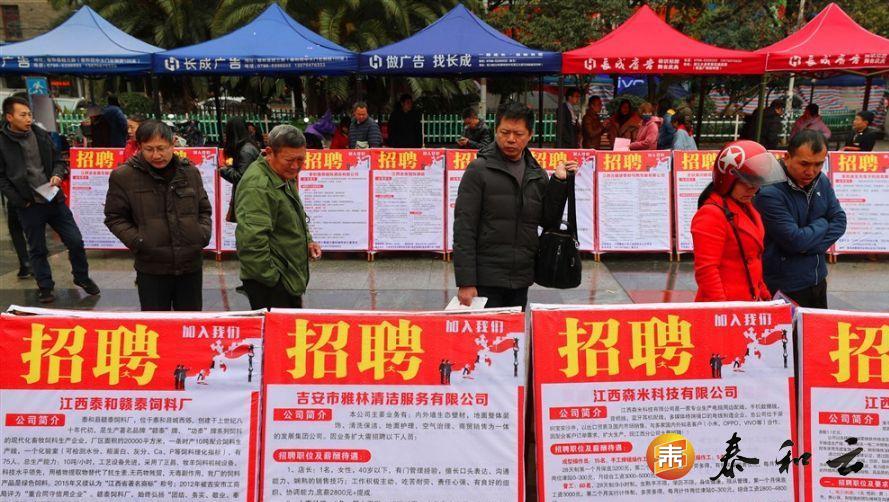 泰和最新招聘——求职全流程指南