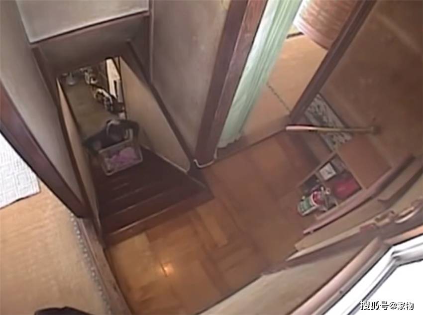 水皮的日常故事,最新观点与家的温馨时光