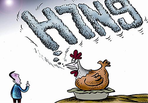 禽流感最新人数,了解与应对的详细步骤指南