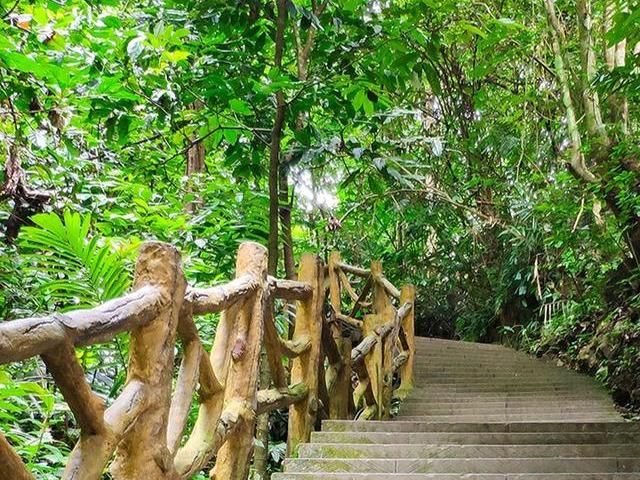 小草最新网址,探索与科普