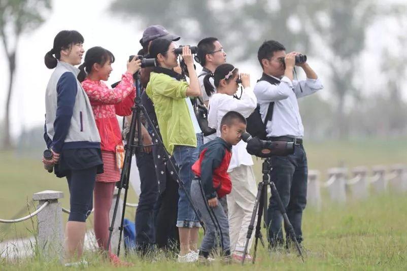 小草最新网址,探索与科普