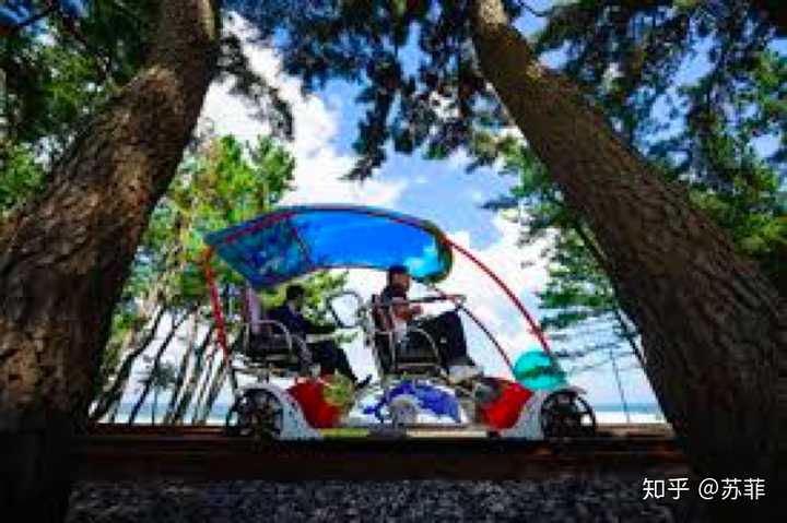 日韩大片直播,一场自然美景的探险之旅