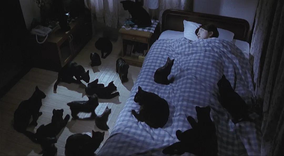 午夜直播校园,探索校园夜生活的直播热潮