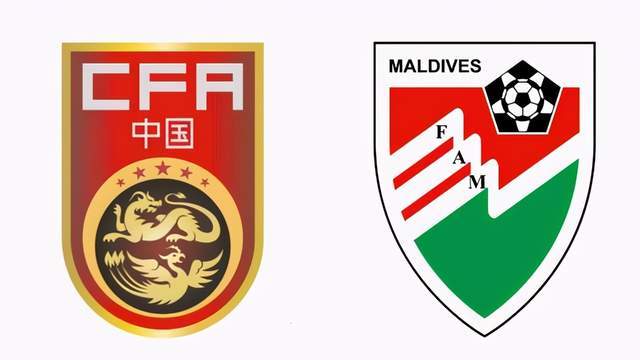 直播企鹅大战,小巷中的独特企鹅盛宴