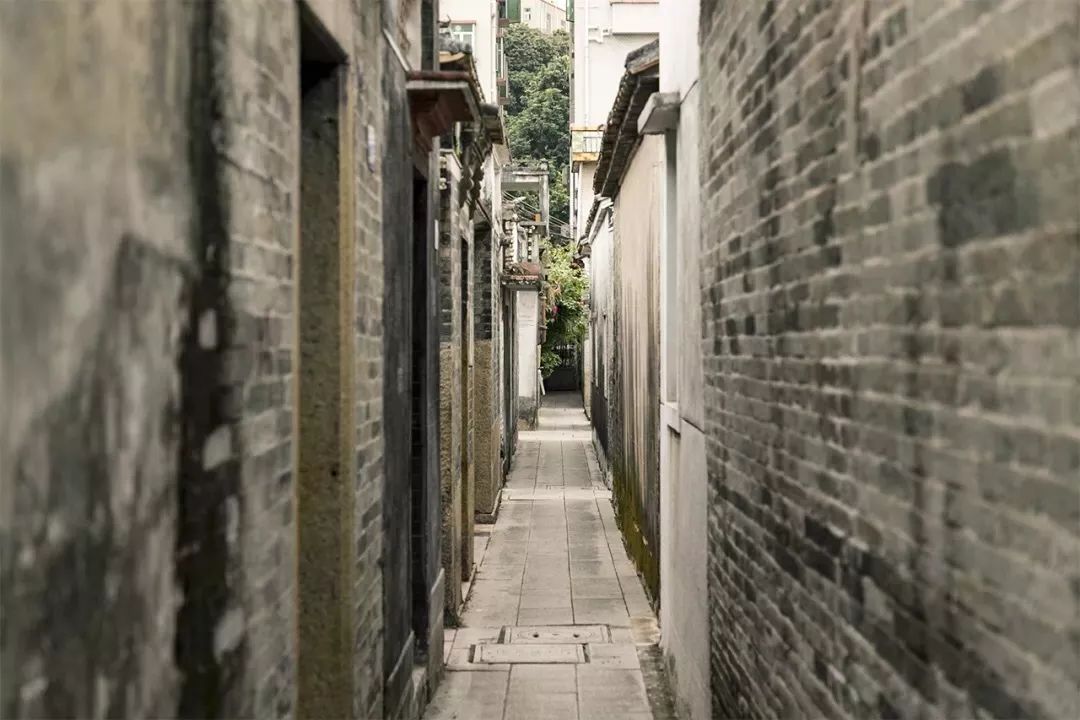 巷弄深处的独特风景,最新网页跳转探索