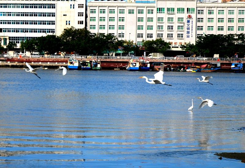 三亚最新游记,科技之旅的璀璨瞬间