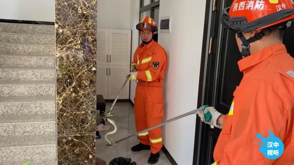 澳门4949免费精准攻略,安全策略解析及ROD16.18定制版揭秘